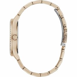 Montre Femme Guess GW0605L3 (Ø 38 mm)