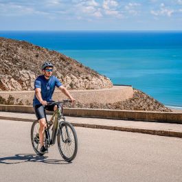 Vélo Électrique Cecotec Supreme 250 W 29"