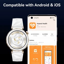 Montre Homme Huawei 55020DKD Noir 46 mm