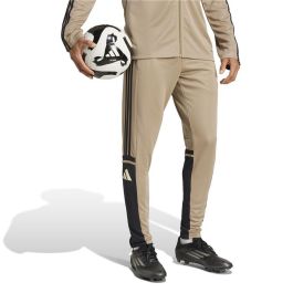 Jogging d'Entraînement de Football pour Adultes Adidas Squadra25 Tr XS