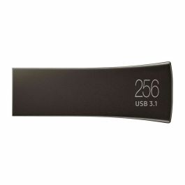 Clé USB Samsung MUF-256BE Gris 256 GB