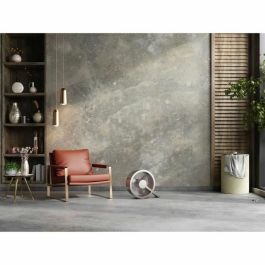 Ventilateur de Bureau Stadler Form Argenté 35 W