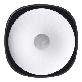 Vortex Dame Rose Evolved Playboy