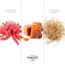 Azzaro Wanted Girl Eau De Parfum Vaporisateur 80 mL