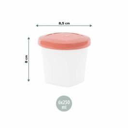Ensemble de Boîtes à Lunch Babymoov A004318 Blanc Multicouleur 250 ml (6 Unités)