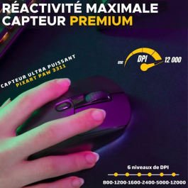 The G-Lab Kult Titan Pro - Souris gamer sans fil et filaire - Capteur 12000 DPI - RGB - Connexion 2.4 GHz/Bluetooth/USB - Pour PC et PS4 - Noire