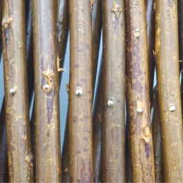 Nature Brise-vue extensible en mimbre naturel FSC 90 x 180 cm Réf. 6040717