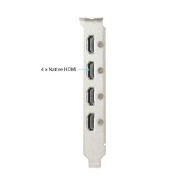 Carte Graphique Asus 90YV0H20-M0NA00 2 GB GDDR5 4K Ultra HD