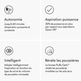 Dyson V12 Detect Slim Absolute Kabelloser Staubsauger (Nickel/Satin)