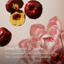 Rituals Recharge Bâtonnets Parfumés The Ritual Of Jing 500 ml