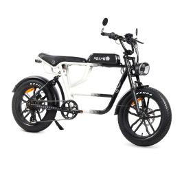 Vélo Électrique Youin BK7000 MIAMI 250 W 20" Precio: 1417.5. SKU: B13XMMMF3R