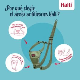 Harnais pour Chien Company of Animals FOREST Vert 12