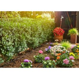 Gardena Kit de démarrage Micro-Drip-System pour haies 15m de tuyau