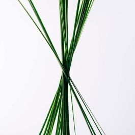 Loewe Coffret cadeau Esencia Eau de Toilette 100 ml 3 pièces