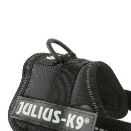 Harnais pour Chien Julius K9 Power Noir 1 Baby 1 (XS)