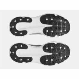 Chaussures de Running pour Adultes Under Armour Infinite Gris