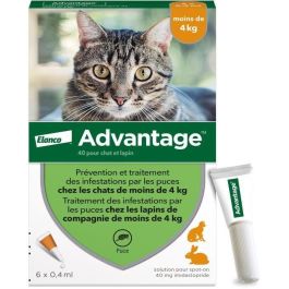 Advantage VENTAJA 40 - 6 pipettes antiparasitaires pour chats et lapins de moins de 4 kg Precio: 36.5000004. SKU: B15JYAEZ2B