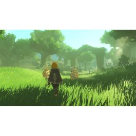 Jeu vidéo pour Switch 2 Nintendo HYRULE W ERA DST