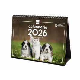 Calendrier de bureau Finocam Multicouleur Papier 21 x 15 cm Precio: 8.4999996. SKU: B1A6928QZ5
