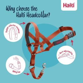 Muselière Company of Animals BURNT Orange Taille 1