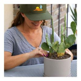 Autocollants Cricut 2009241