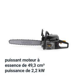 Scie à chaîne Alpina 2200 W