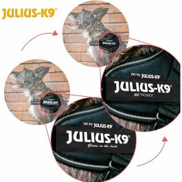Harnais pour Chien Julius K9 IDC Noir S