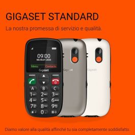 Gigaset GL395 Téléphone Mobile Senior Dual Sim Gris Titane Silver 2.2" 800 mAh IP44
