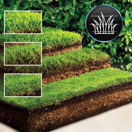 Tondeuse à gazon à batterie Cecotec E1 Liberty 20 V 32 cm 20-70 mm 30 L