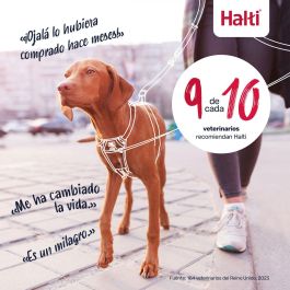 Harnais pour Chien Company of Animals FOREST Vert L