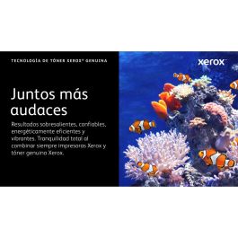 Toner Xerox 006R04626 Noir Magenta (1 Unité)