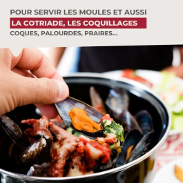 Fackelmann Marmite à Moules Émaillée 3 L Noir - Tous Feux Dont Induction - 20.5 x 26 x 17.5 cm