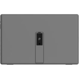 MSI Écran PC Gamer MP161 E2 15.6 pouces IPS FHD 1 ms 60 Hz USB-C x2 Mini HDMI