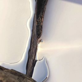 Hugo Boss Ma Vie Eau de Parfum 50 mL