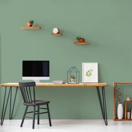 Ripolin Peinture Intérieure Acrylique Lessivable Haute Opacité - Vert Simsun - 2,5L - Rendement 25 m² - Pour Murs, Bois et Radiateurs