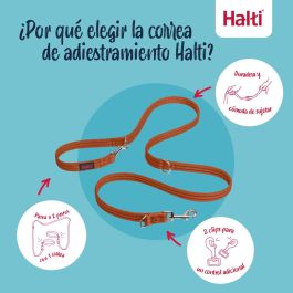 Sangle d'entraînement Company of Animals BURNT Orange