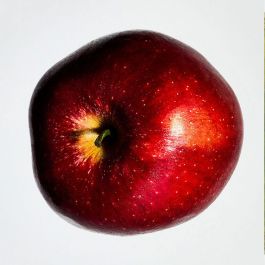 Loewe Coffret 3 pièces ONLY HER - Solo Ella Eau de Parfum Femme 100ml + 2x10ml