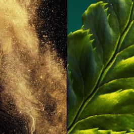 Guerlain Vol De Nuit Eau De Toilette Vaporisateur 75 mL