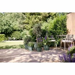 ELHO Amiga Redonda 25 Jardinière Ronde Verte L 25 x H 24,5 x H 18 cm Extérieur 100% Recyclé ELH8711904535087