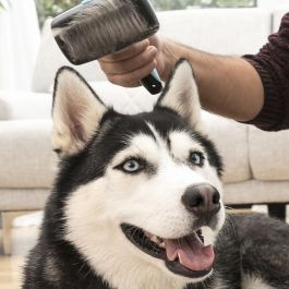 Brosse pour Animaux de Compagnie avec Dents Rétractables Groombot InnovaGoods