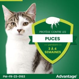 Advantage VENTAJA 40 - 6 pipettes antiparasitaires pour chats et lapins de moins de 4 kg