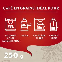 Café en grains Lavazza 2013