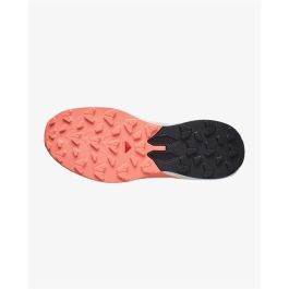 Chaussures de trail pour femmes Salomon Pulsar W Tender Beige XL