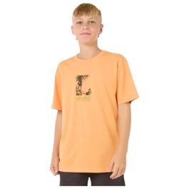 T shirt à manches courtes Enfant Rip Curl Raw Energy Frame Tee Orange Precio: 20.4999996. SKU: B1ACW39SXM