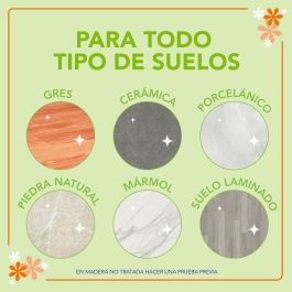 Nettoyant de Sols Asevi 1 L