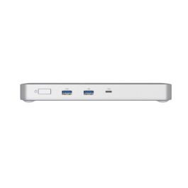 Hub USB D-Link DUF-901/E Gris 100 W