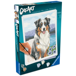Ravensburger 12023114 - CreArt - Peinture par numéros Adulte - Berger Australien - 24x30 cm - Loisir créatif