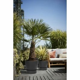 Elho Bac à fleurs rond Greenville 47 - Extérieur - Ø 47 x H 44,1 cm - Noir