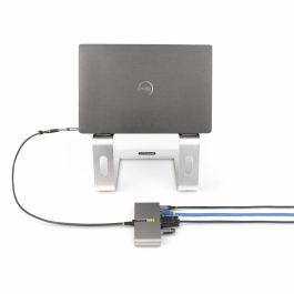 Câble USB Startech 5G2A1SGBB-USB-C-HUB Gris