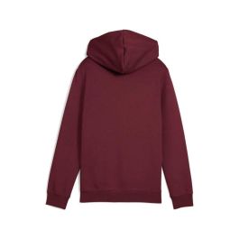 Sweat-shirt à capuche fille Puma Essentials 2 Color No. 1 Bordeaux M
